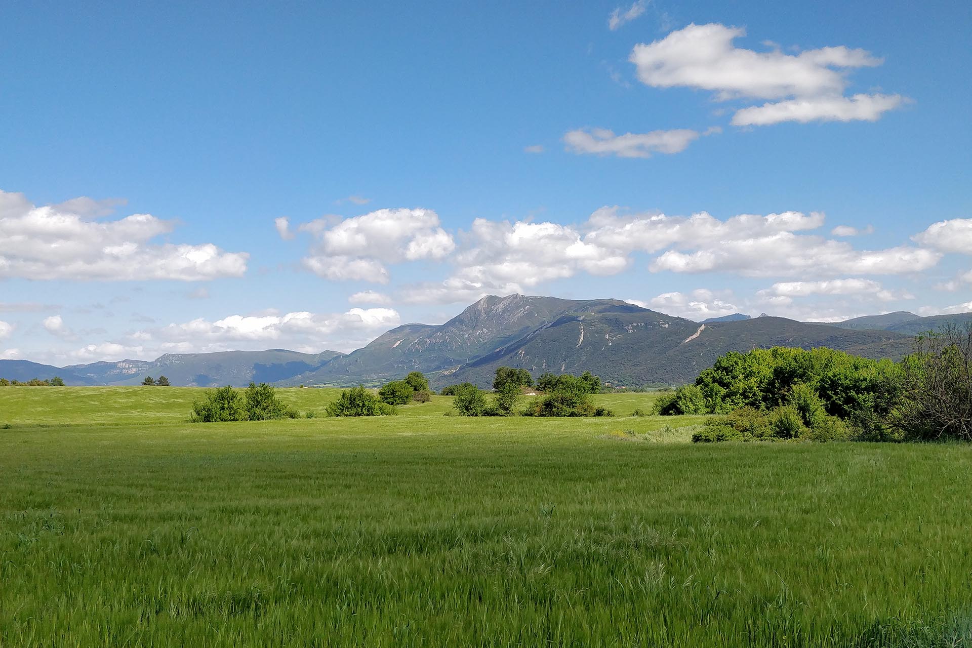 Valle de Tobalina