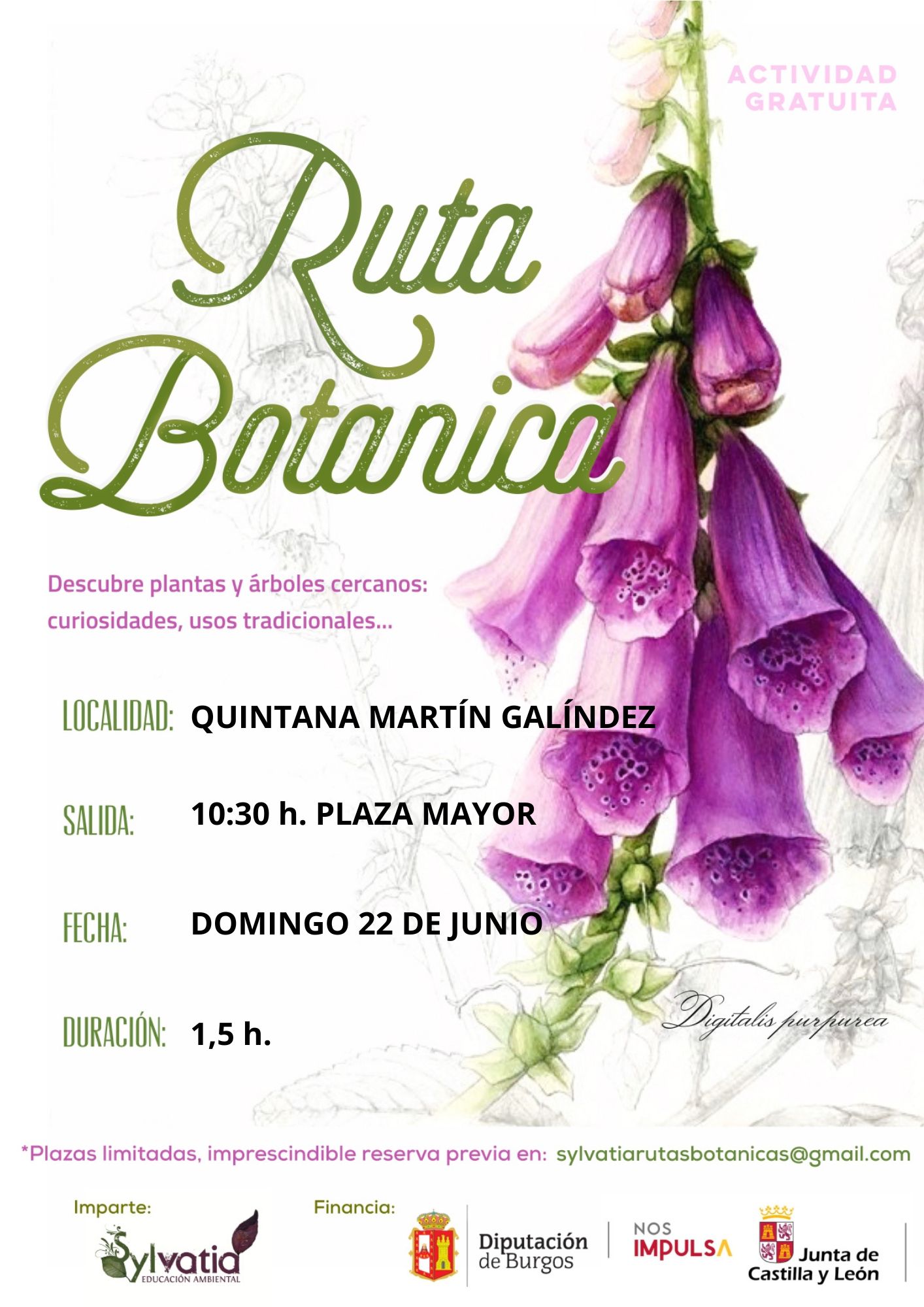 Ruta botánica